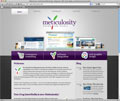 Meticulosity Meticulosity
