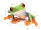 Tree Frog InterMedia